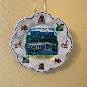 Vintage Florida Silver Springs Plastic Souvenir Plate “ Glass Bottom Boat” Gator